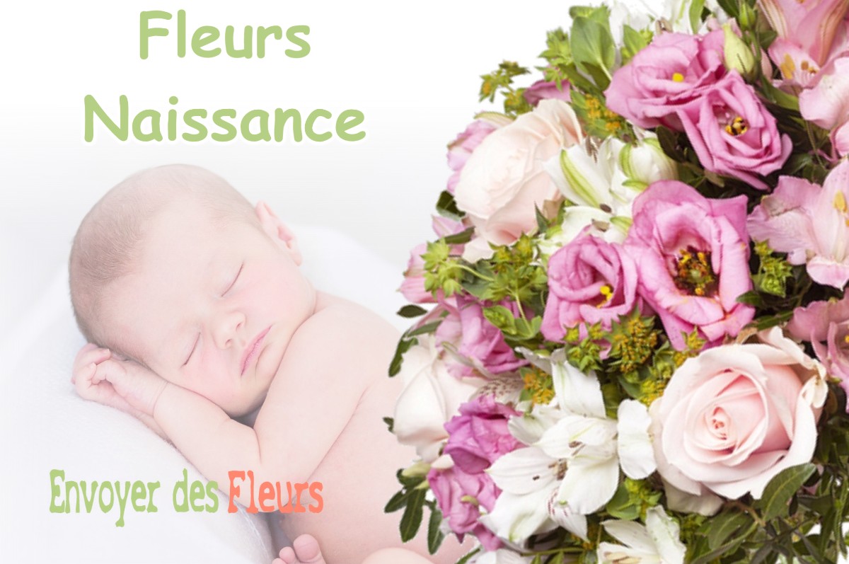 lIVRAISON FLEURS NAISSANCE à EUP